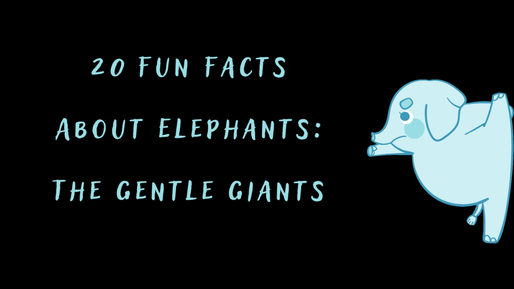 Facts About Elephants