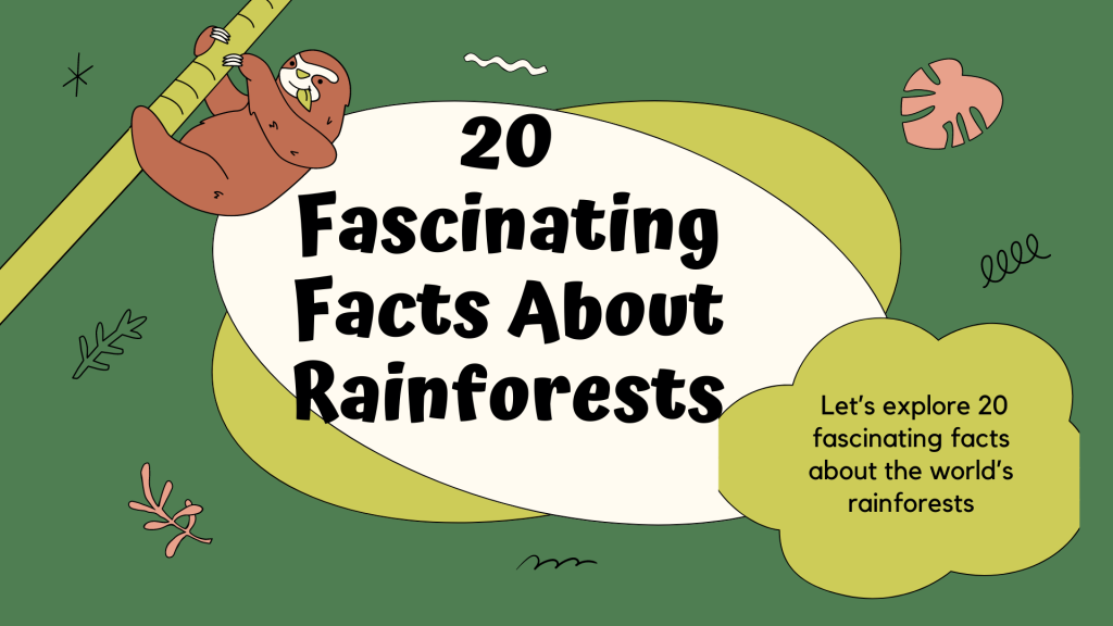 Facts About Rainforests