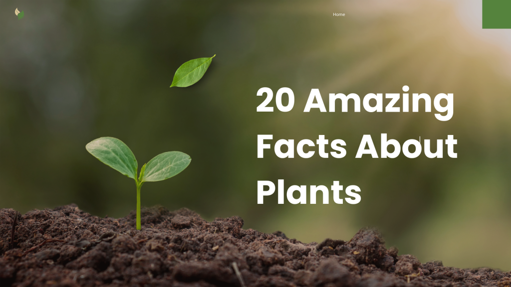 20 Amazing Facts About Plants