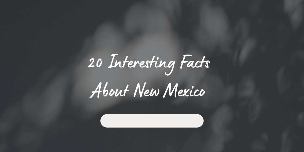 20 Interesting Facts About New Mexico