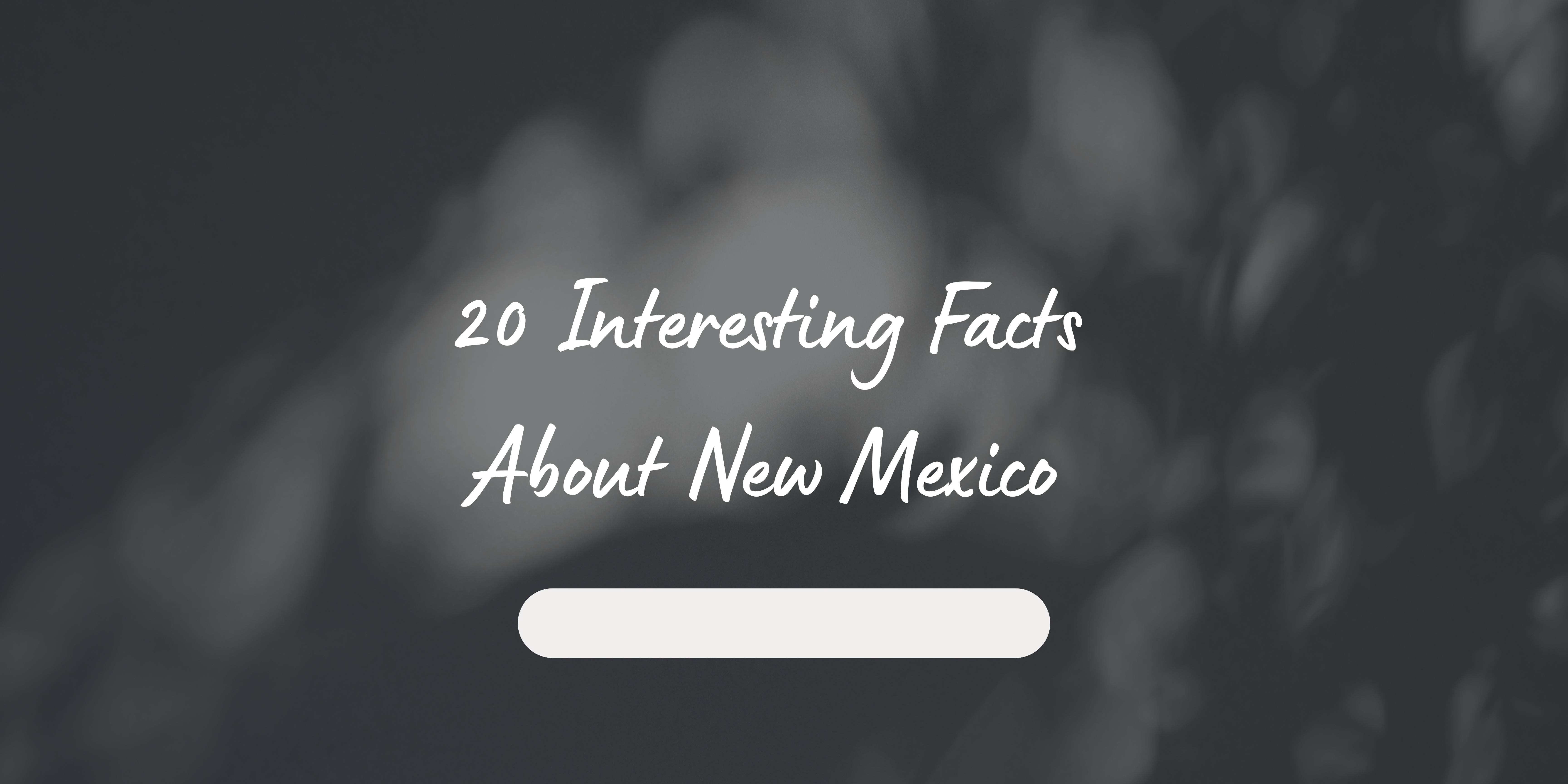 20 Interesting Facts About New Mexico 20 Interesting Facts About New Mexico